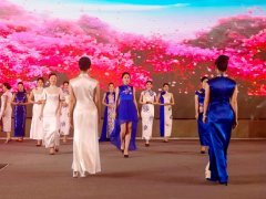 重慶第五屆職業教育活動周啟動，茶藝、扎染、3D打印與禮儀文化共展職教風采